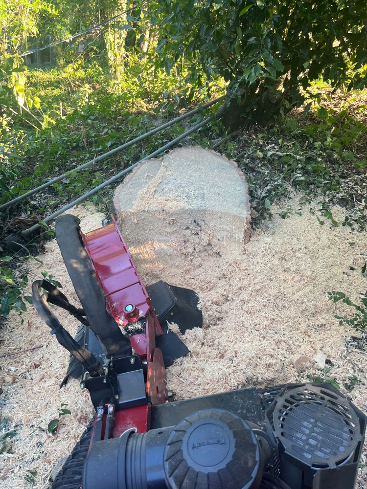 Stump Grinding for Otis Lee Stump Grinding LLC in Elgin, SC