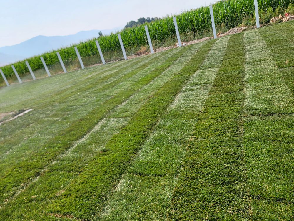 New Sod for Logan River Landscaping in Logan, UT