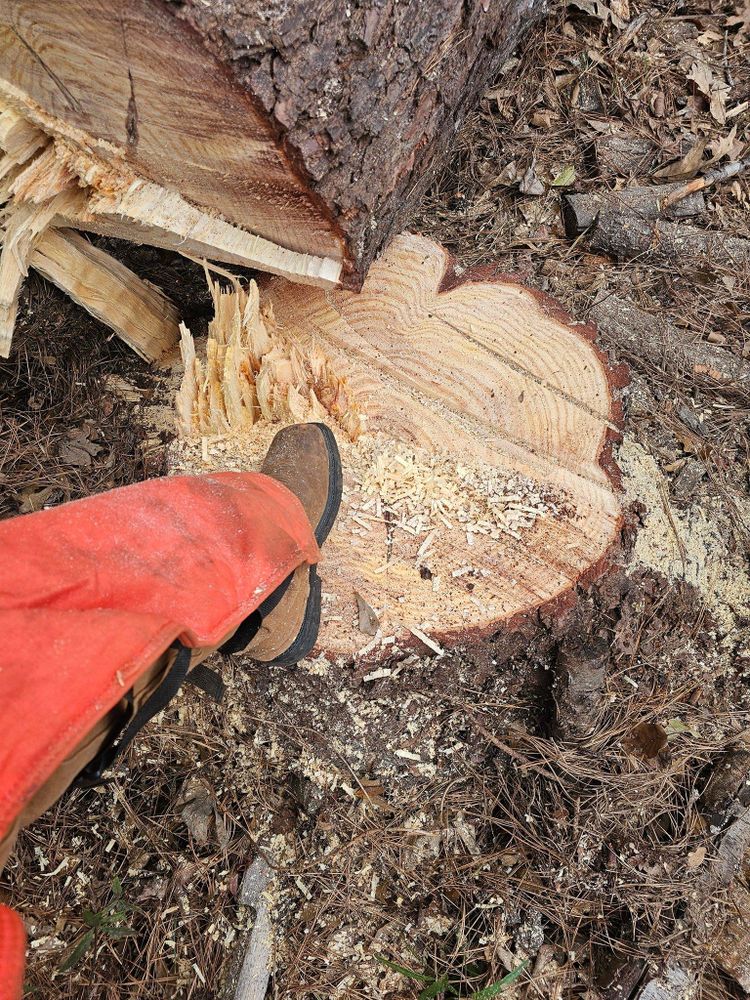 All Photos for O'Connor Clearing and Hauling LLC in Anderson County, SC