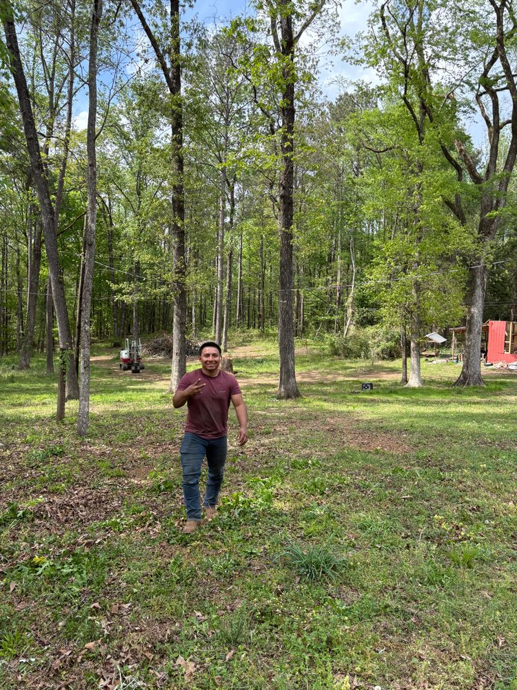 All Photos for T N L - Tree and Land Service in Reynolds, GA