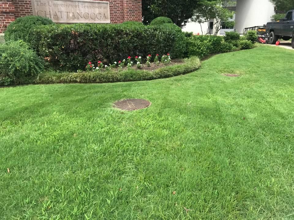 Our professional Lawn Care service includes mowing, fertilizing, weed control, and trimming to ensure your yard stays healthy and beautiful year-round. Trust us to maintain your lawn with expert care. for Mtn. View Lawn & Landscapes in Chattanooga, TN