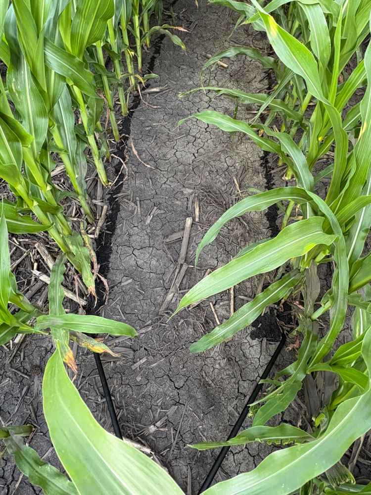 All Photos for Legge Farms and Drainage in Garner, IA