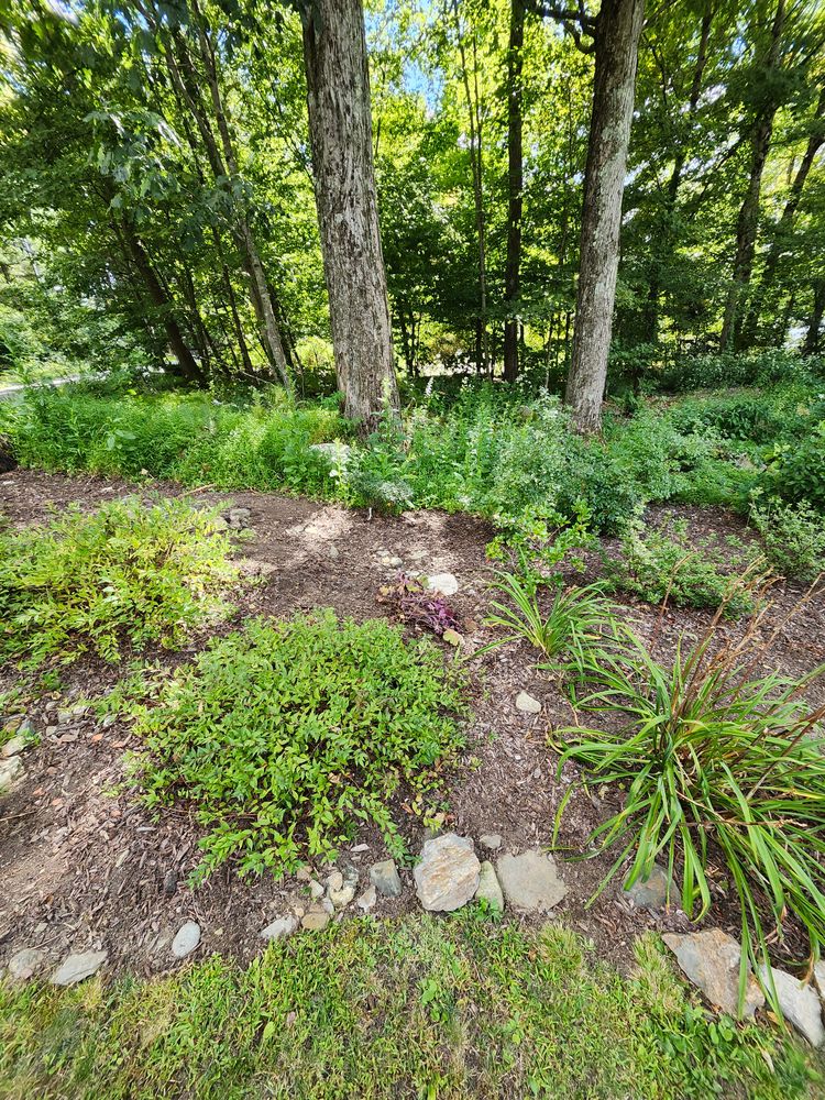 All Photos for Landscape Innovations LLC in Torrington, CT