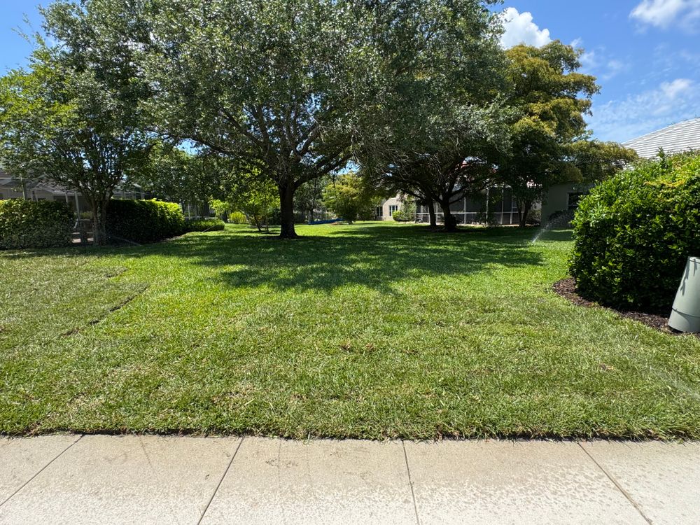 All Photos for BH Lawn and Landscape in Fort Myers, FL