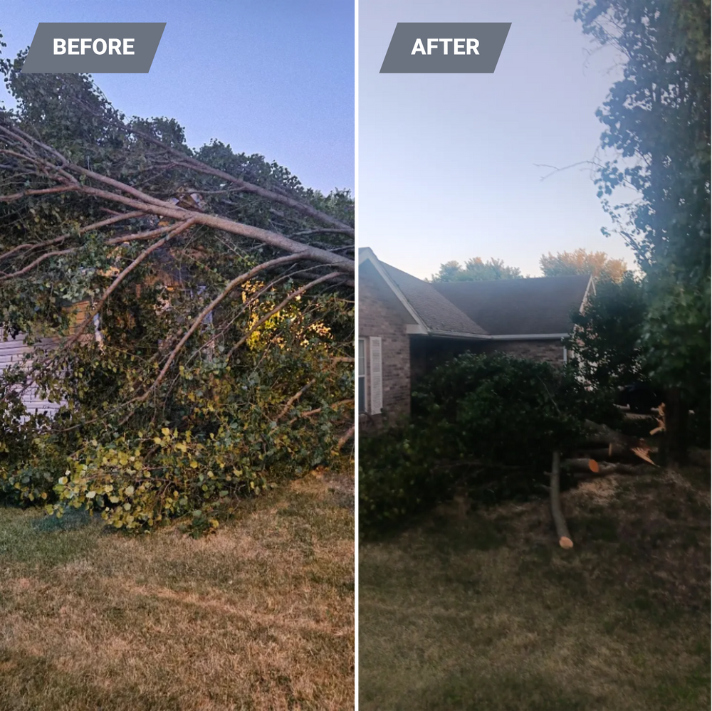 All Photos for Sky High Tree Service in Columbia, MO