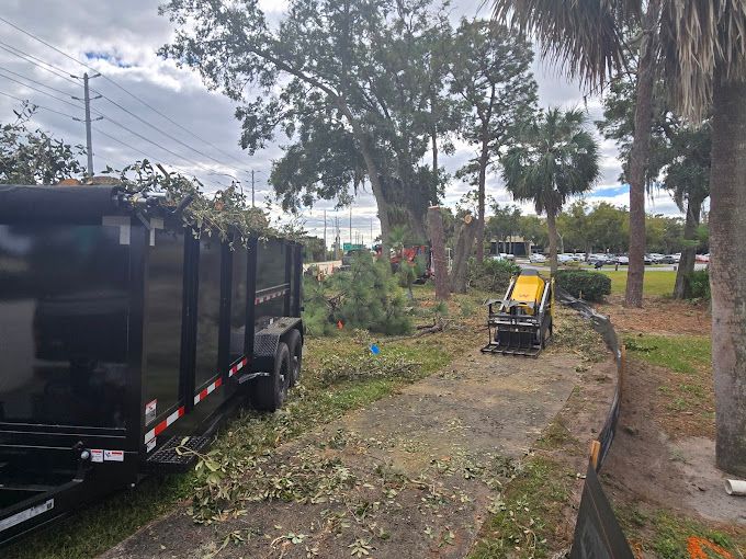 All Photos for Near Me Tree Service, Inc. in DeLand, FL