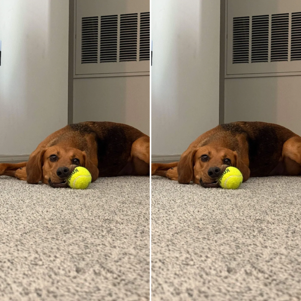 All Photos for Down Dog Yoga in Boston, MA