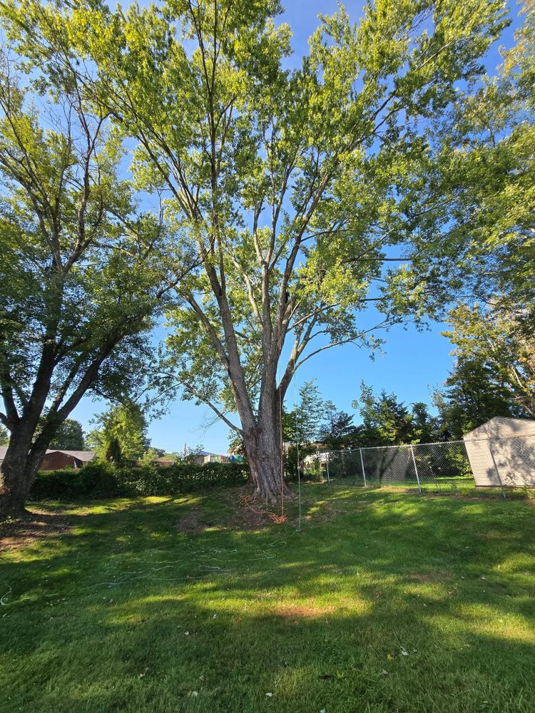 All Photos for M&L Lumber and Excavating in Jonesborough, TN