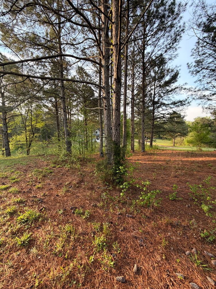 All Photos for Beauchamp Construction LLC in Athens, GA