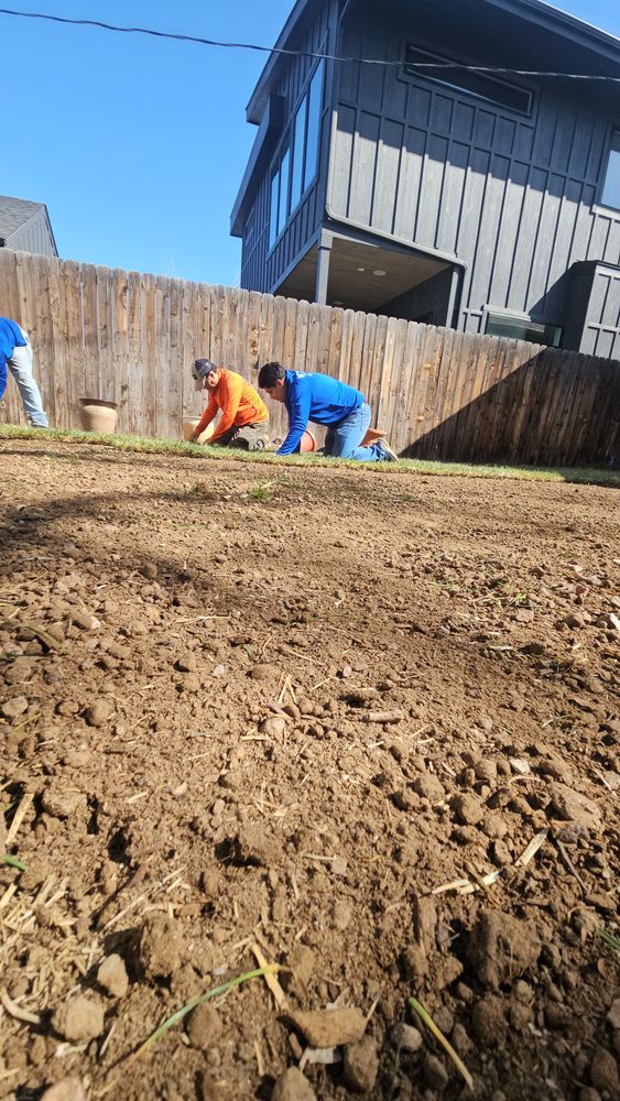 All Photos for NGL Landscape Company in Denver, CO