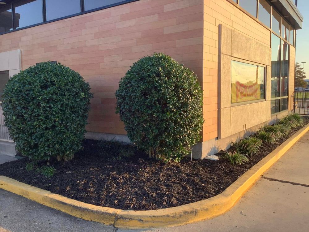 Hardscaping Landscaping for Gator Mowing in Bossier City,  LA