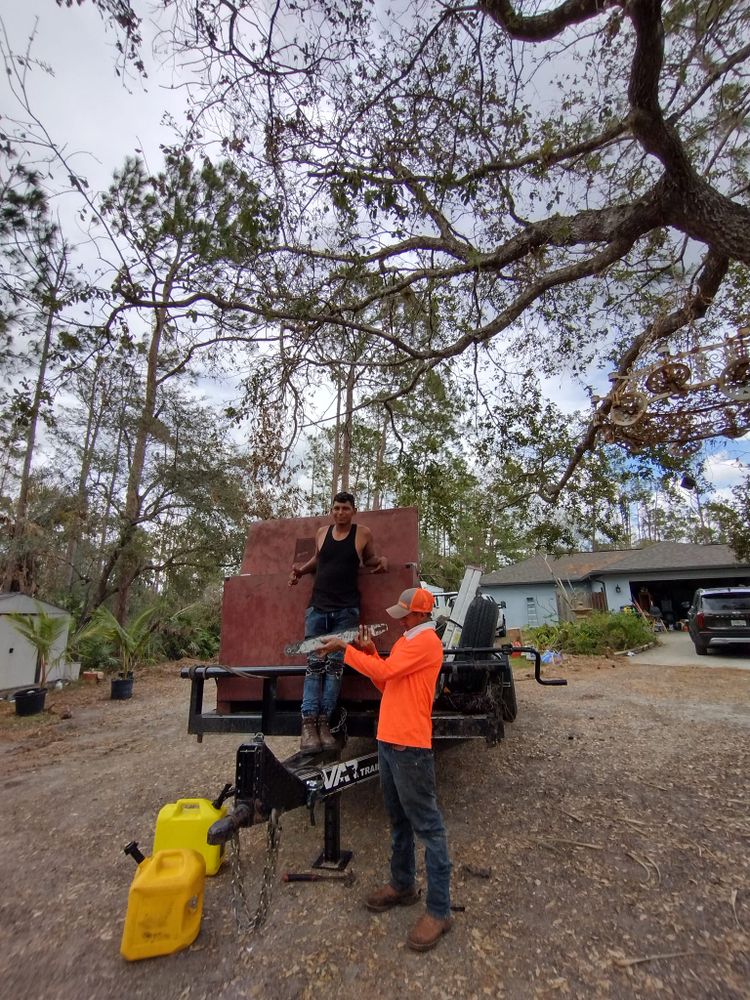 Tree Removal for American Tree Masters in Alvin, TX