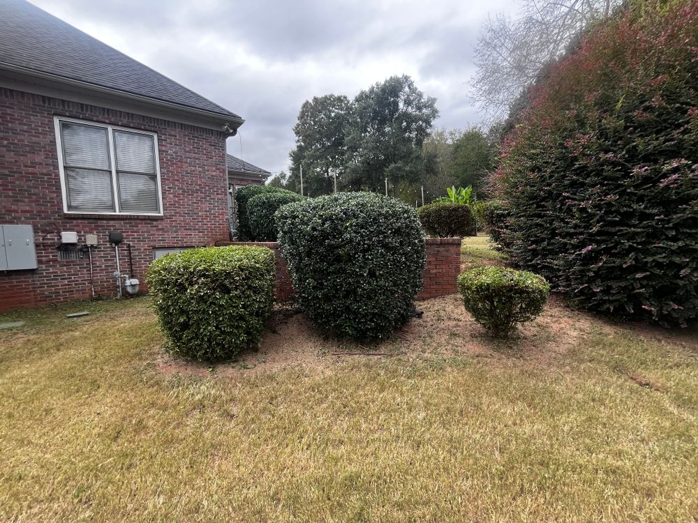 All Photos for Southern Outdoors Landscaping in Covington, GA