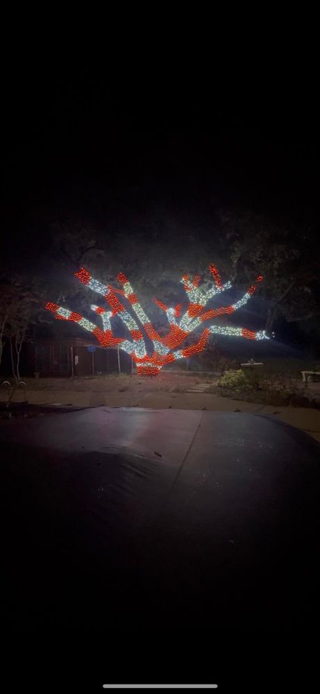 All Photos for Mora’s Lawn Services in Crowley,  TX