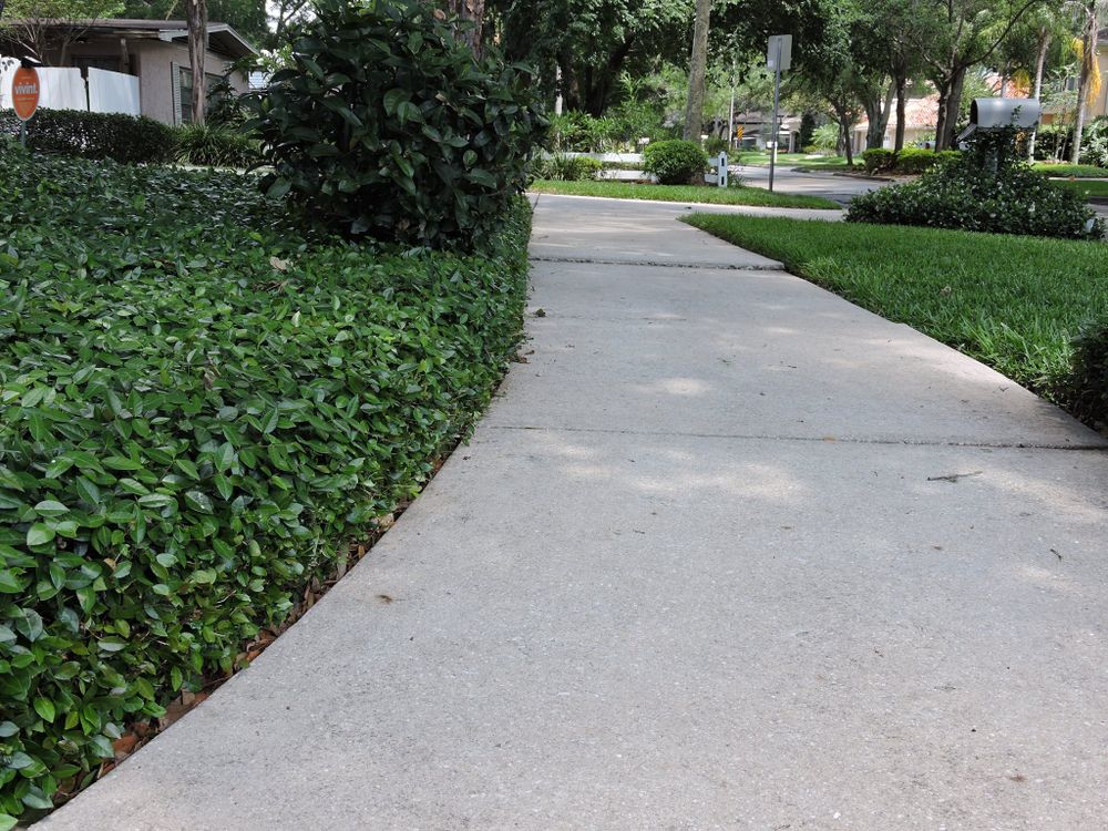 Landscaping for 1 Friendly Lawn Service in Tampa, FL