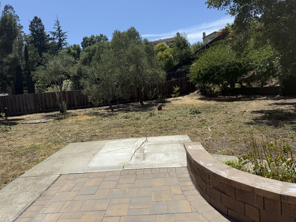 All Photos for CBA Landscaping in Hayward, CA