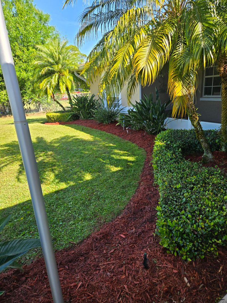 All Photos for Above the Lawn Cuts and Pressure Washing in Sebring, FL