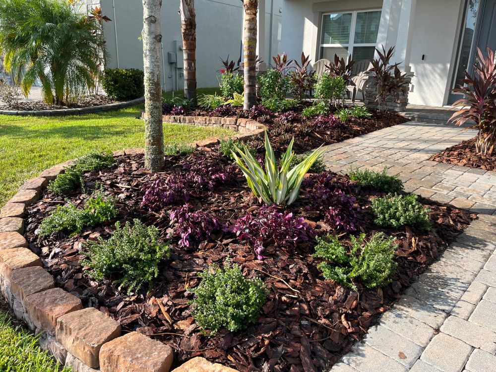 All Photos for Verimay's Garden and Landscaping in Hillsborough County, FL