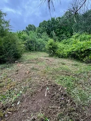 Our Brush Clearing service helps homeowners effortlessly remove overgrown vegetation, shrubs, and small trees from their property to enhance safety, improve aesthetics, and prepare for landscaping or construction projects. for Three Rivers Dirt Works LLC in Knoxville, TN