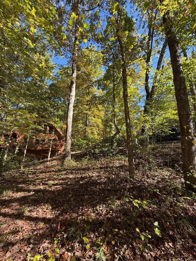 All Photos for T Crane Grading LLC in Clarkesville, GA