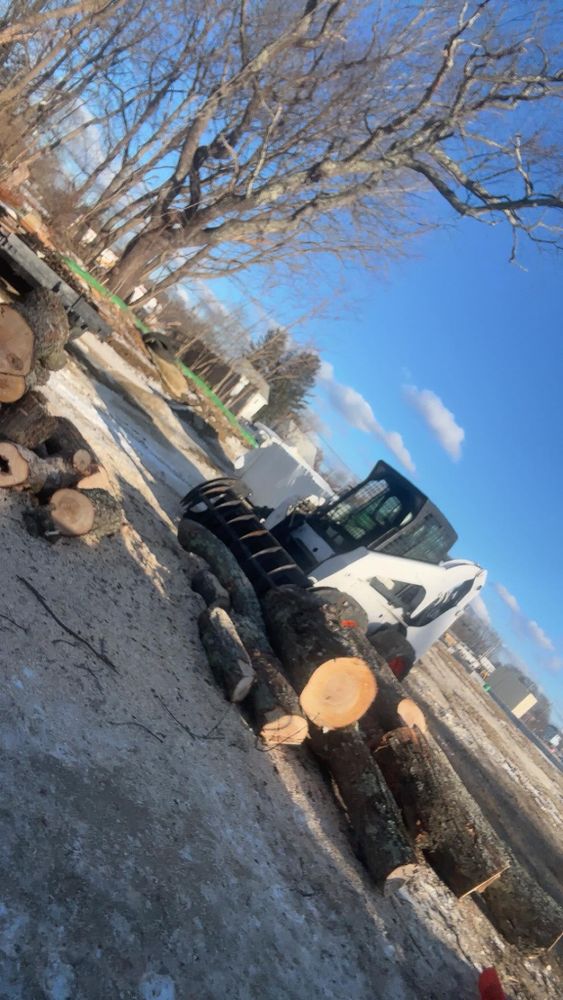 All Photos for Dwights Tree Service in Middleborough, MA