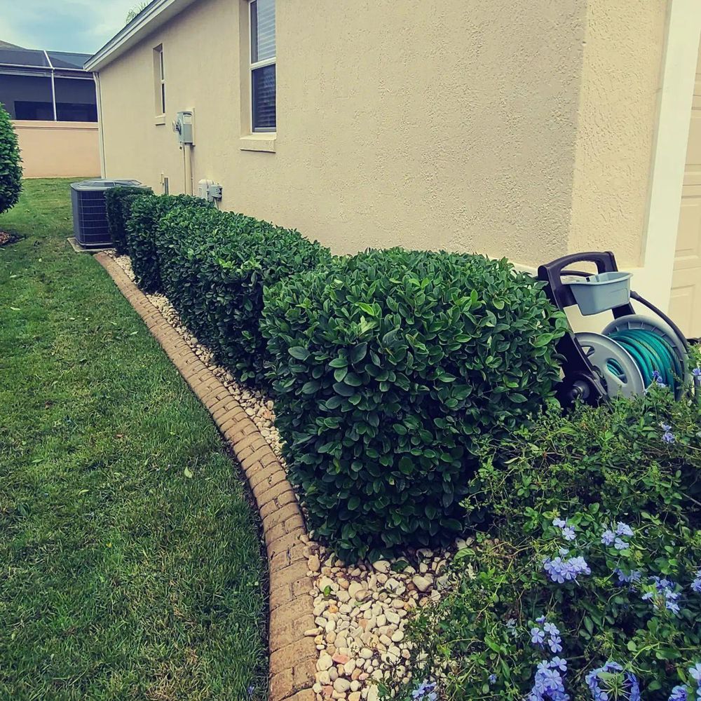 All Photos for TopNotch Landscaping Services  in The Villages, FL