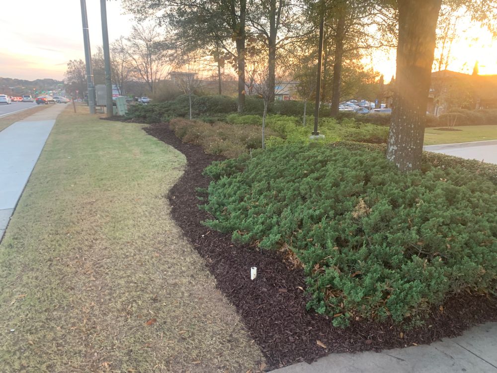 All Photos for Amerigreen Lawn & Landscape in Duluth, GA