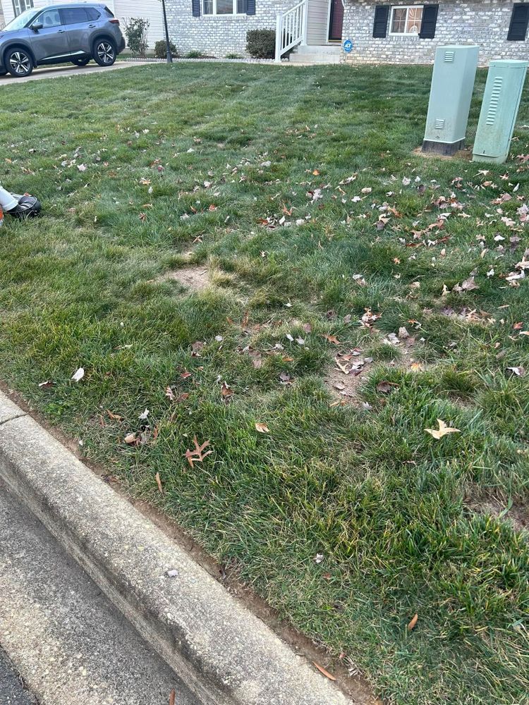 All Photos for Morris Contracting in Leonardtown, MD