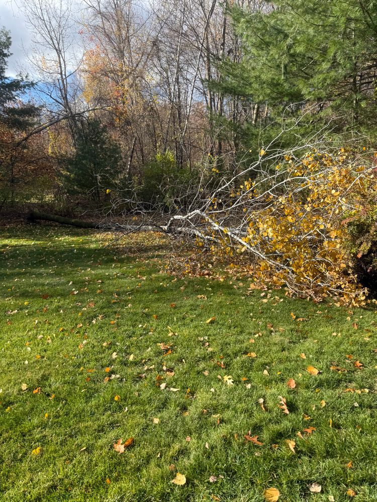 All Photos for Katinas Property Maintenance in Clifton Park, NY