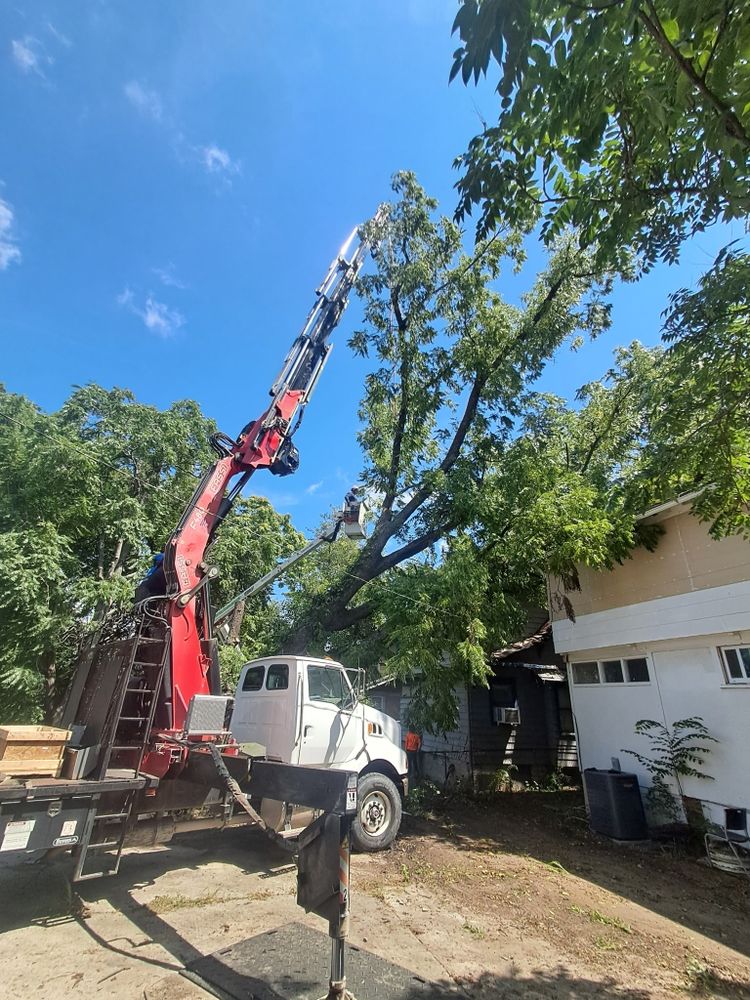 All Photos for Mitchell Tree Company in Lathrop, MO