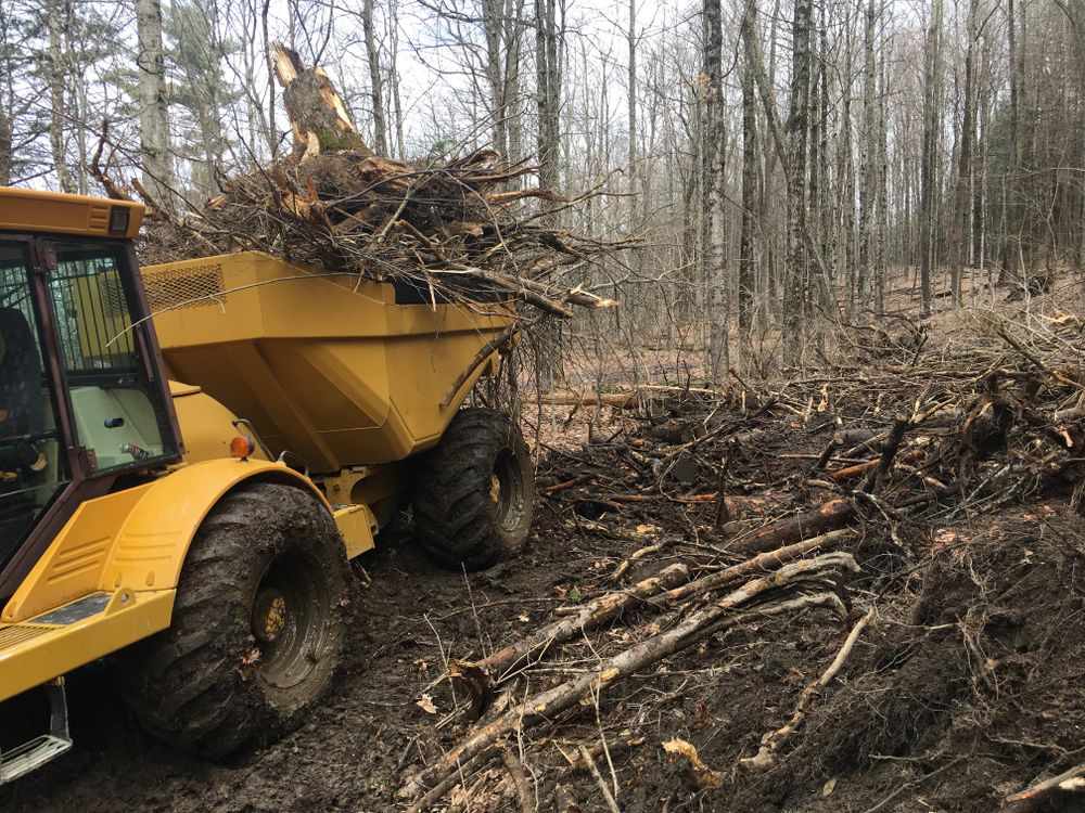 Our Land Clearing & Demolition service efficiently transforms your property, removing unwanted structures and vegetation, ensuring a clear, safe foundation for new projects while enhancing overall landscape aesthetics. for Forever Green Landscaping & Excavation in Poultney, VT
