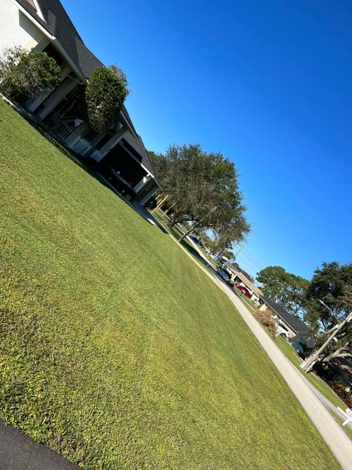 All Photos for Angels Premium Cutz LLC in Avon Park, FL