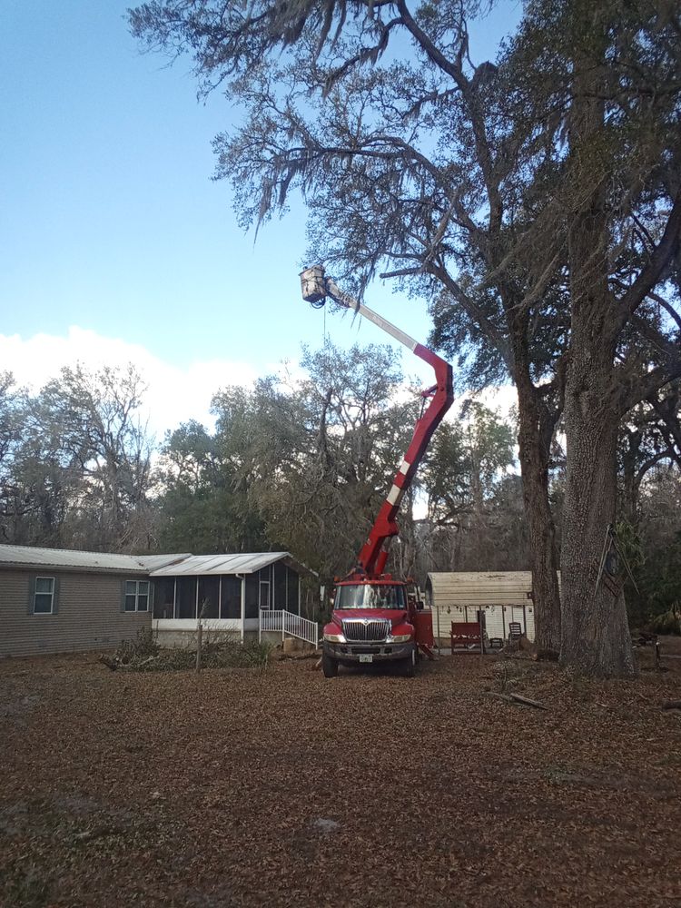 All Photos for Asbell's Tree & Land Services in Gilchrist County, FL