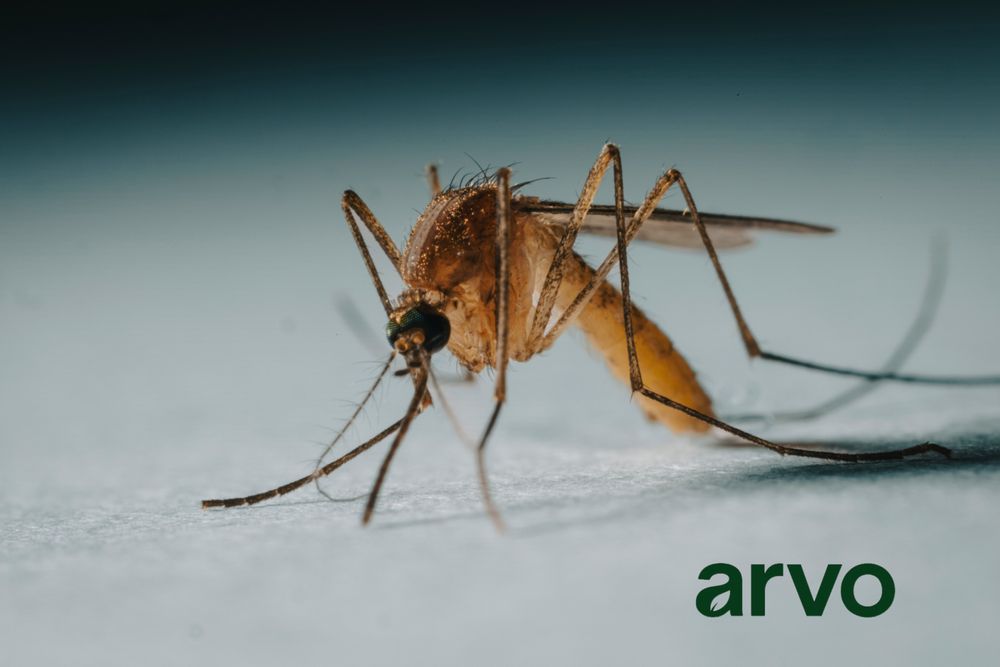 All Photos for Arvo Pest Control in Sandy, UT