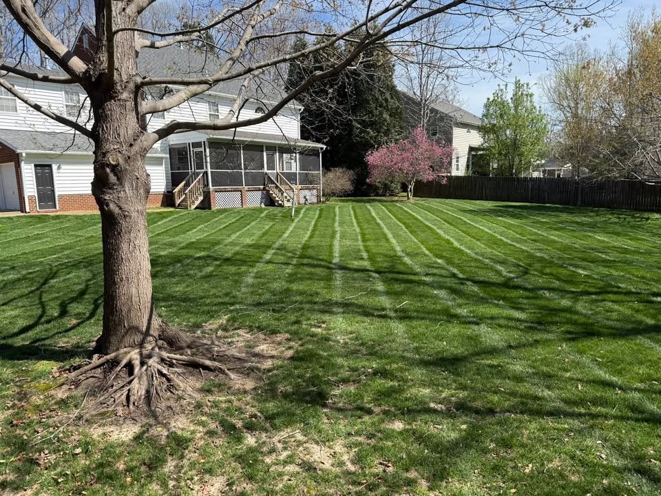 All Photos for C + C Landscaping in Chesterfield, VA