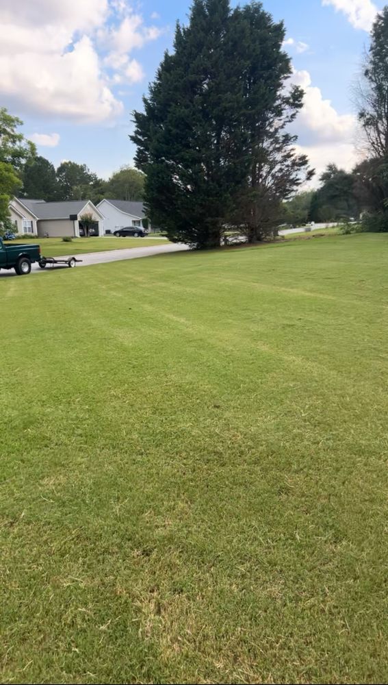 All Photos for WD Lawn Services in Loganville, GA
