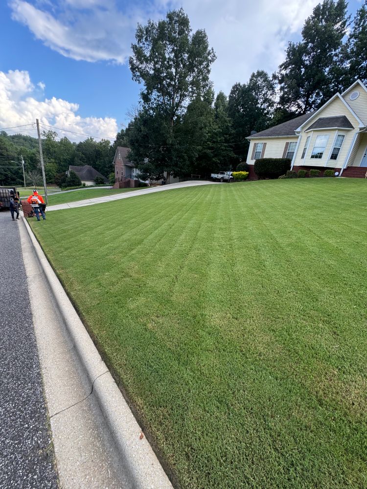 All Photos for All About Lawns in Trussville, AL