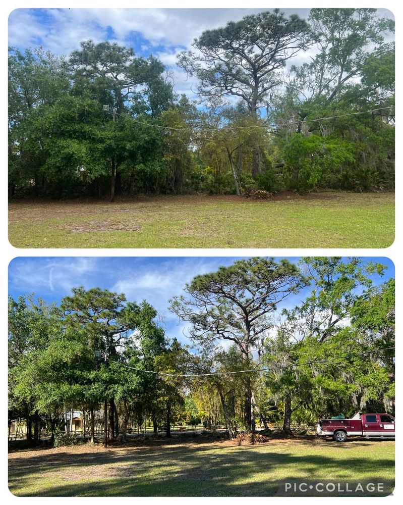 Stump Removal for Adam's Tree and Stump Care in Bradenton, Florida