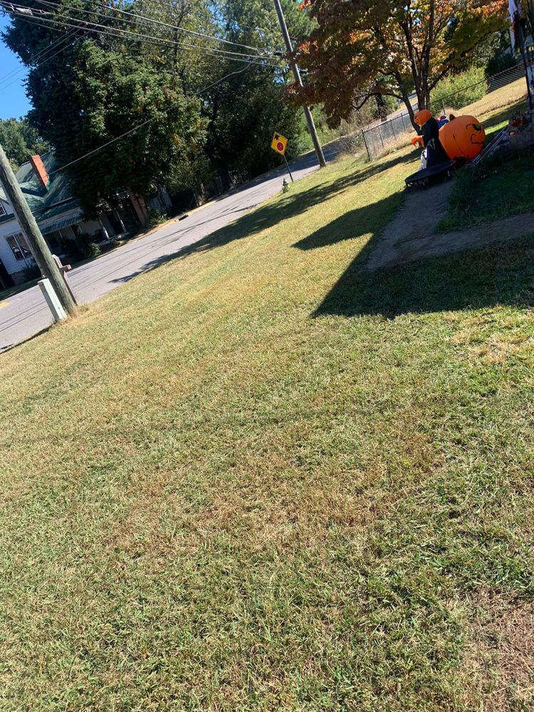 All Photos for I&J MicroMegas Lawncare LLC in Jacksonville, AL