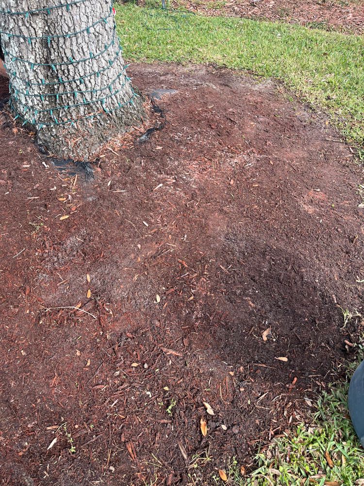 All Photos for Space Coast Property Maintenance and Management LLC in Melbourne, FL