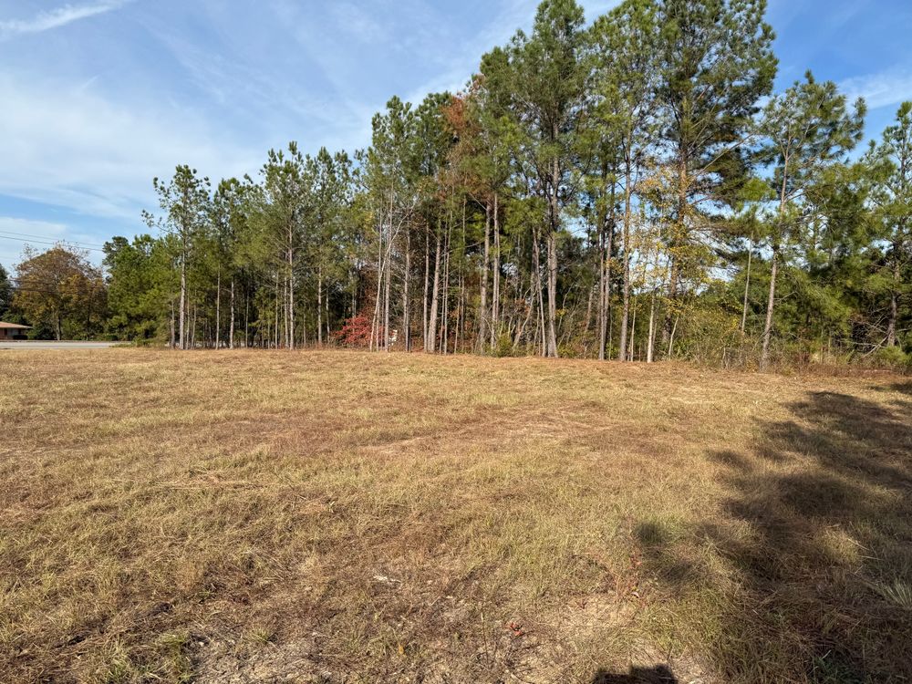 All Photos for T N L - Tree and Land Service in Reynolds, GA