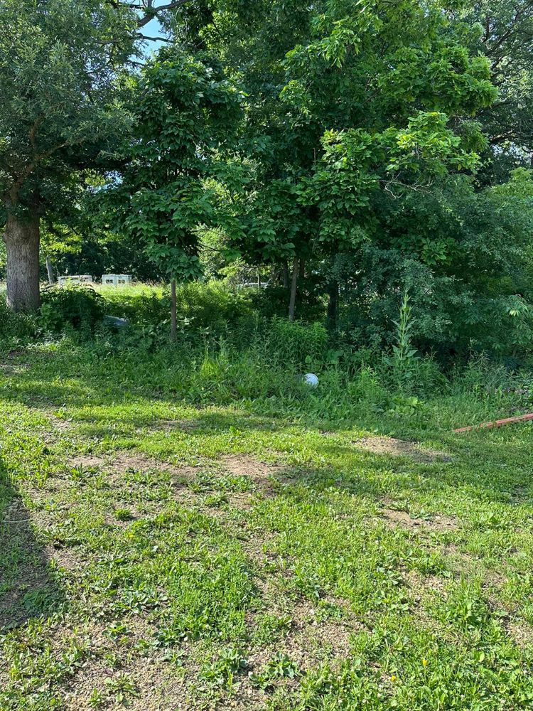 All Photos for 608 Earthworks in Marshall, WI