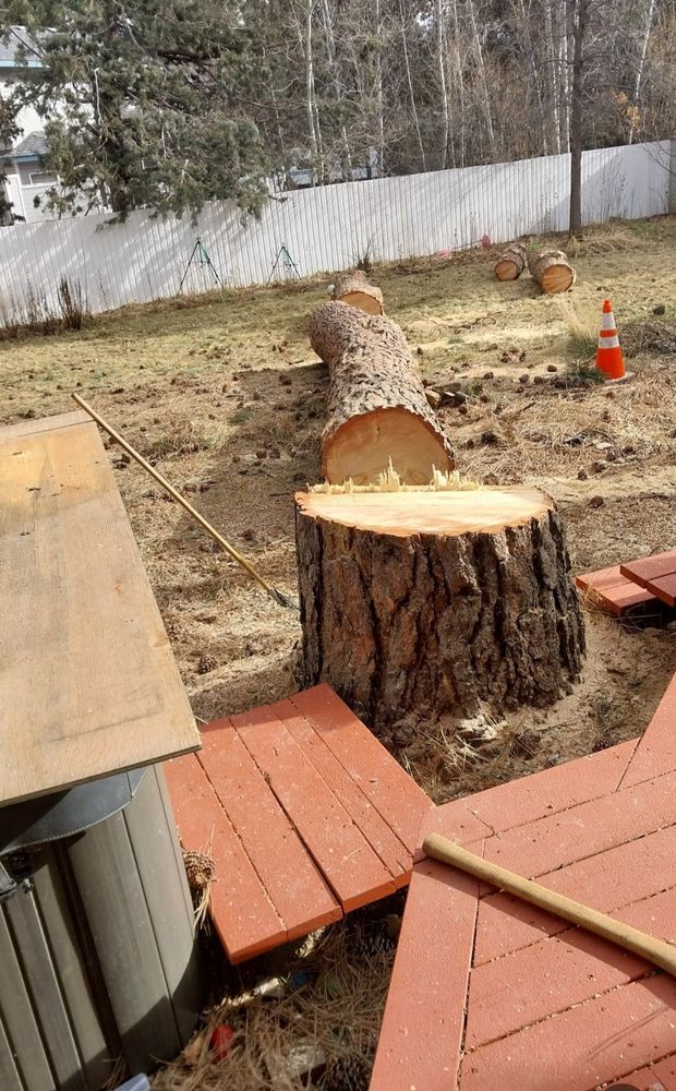 Tree Removal for Clippys Tree Pros in Stayton, OR