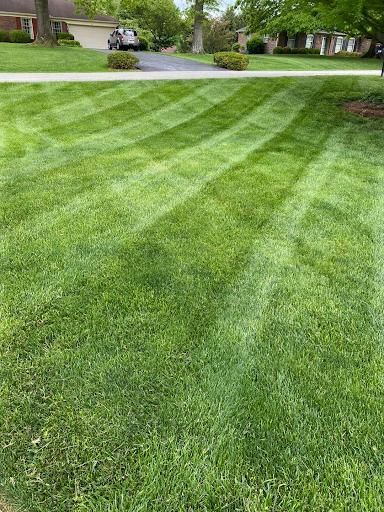 All Photos for JKL Lawn Service in Frankfort, KY