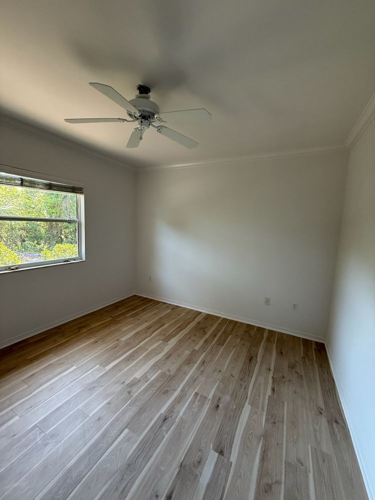 All Photos for Escorpio Painting in Tampa, FL