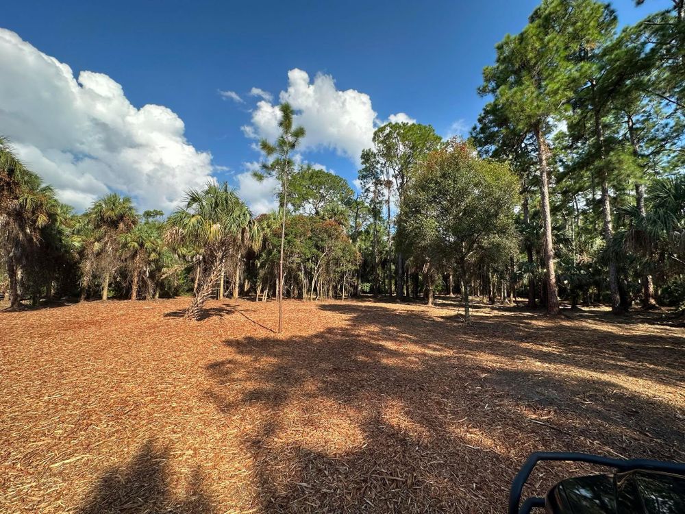 All Photos for McLeran in Naples, FL