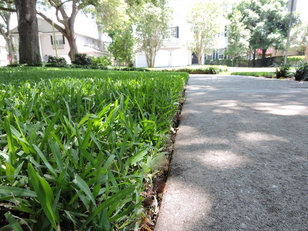 Landscaping for 1 Friendly Lawn Service in Tampa, FL