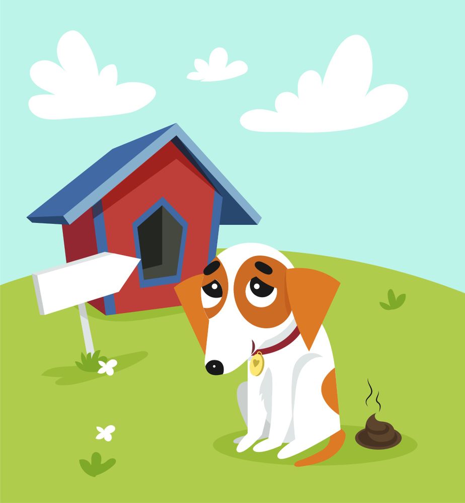 All Photos for River City Scoopers in Midlothian, VA