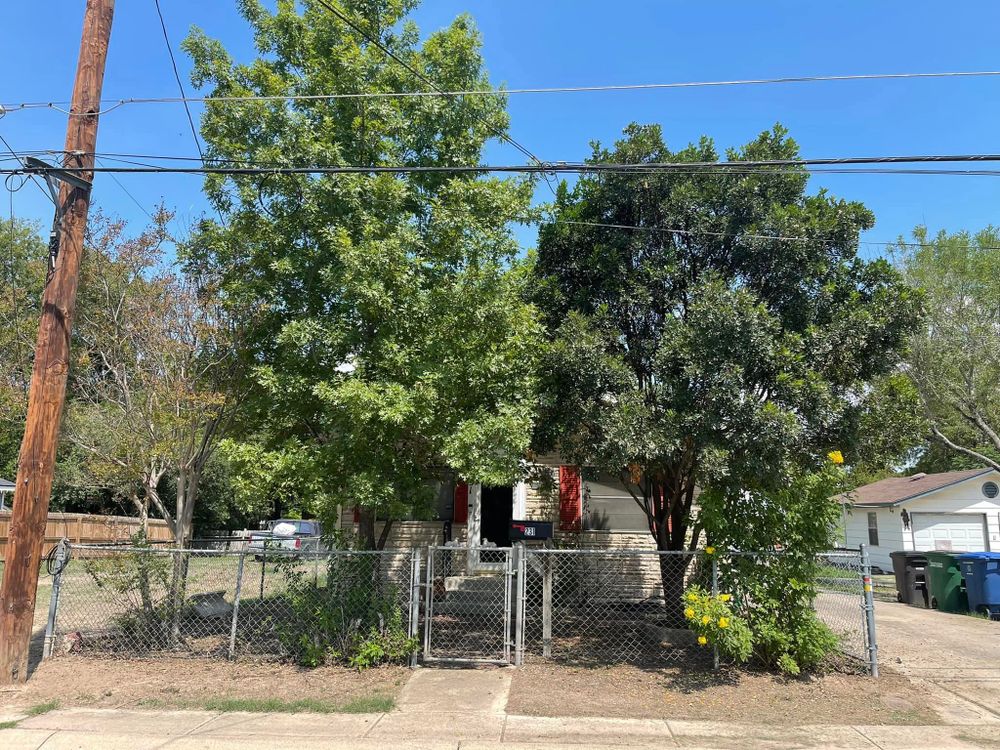 Tree Removal for Neighborhood Lawn Care and Tree Service  in San Antonio, TX