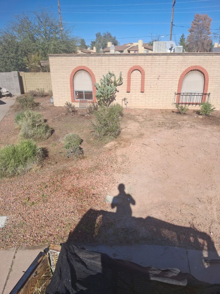 All Photos for Family Landscaping in Phoenix, AZ